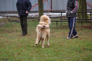 Štěpánov 5.12.2007