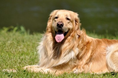 Berzit Moravia Diamond