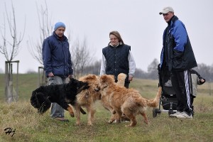 Berzit, Dagyr, Daxia